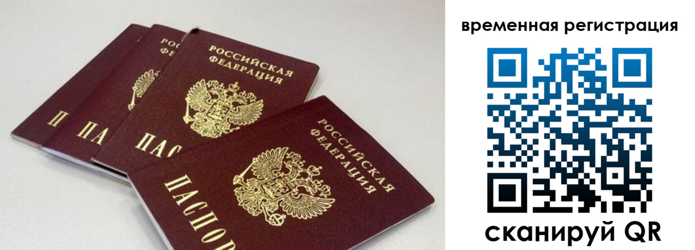 временная регистрация собственник в ЕАО